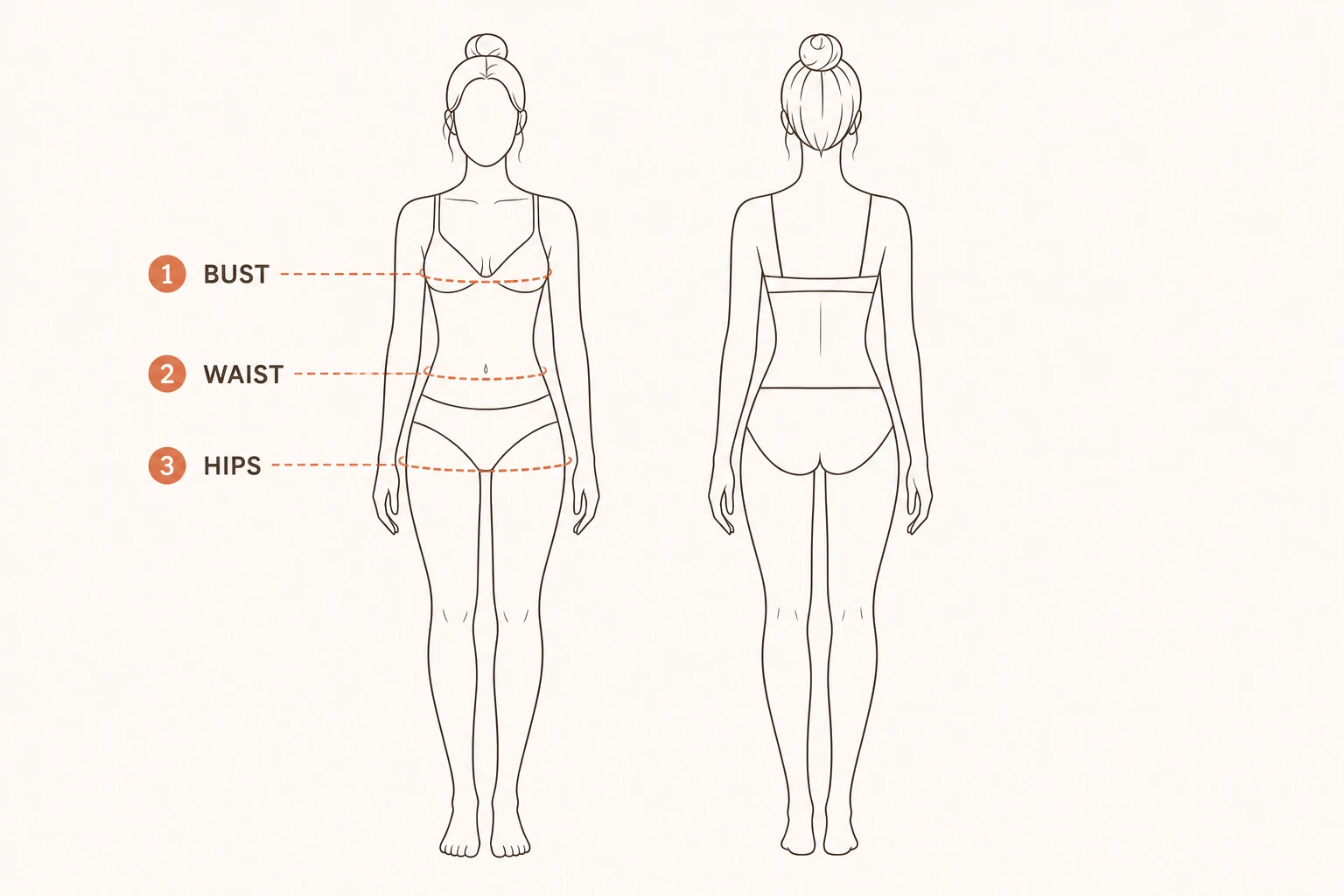 Front and back body outlines showing where to measure the bust, waist, and hips